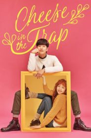 Cheese in the Trap แผนรักกับดักหัวใจ ตอนที่ 1-16 ซับไทย