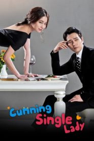 Cunning Single Lady เล่ห์รักยัยตัวร้าย ตอนที่ 1-16 พากย์ไทย