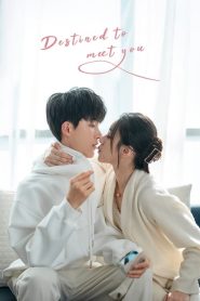 Destined to meet you (2022) เดสทินี รักนี้พี่ขอ EP.1-20 พากย์ไทย