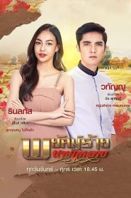 Mr. Rose The Secret Spy (2022) พยัคฆ์ร้ายนายกุหลาบ EP.1-30 พากย์ไทย