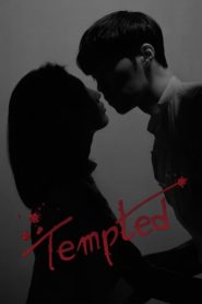 Tempted เกมรักกลลวง ตอนที่ 1-16 พากย์ไทย