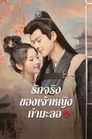 The Substitute Princess s Love (2024) รักจริงของเจ้าหญิงกำมะลอ EP.1-24 ซับไทย