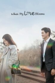 When My Love Blooms (2020) ตอนที่ 1-16 ซับไทย