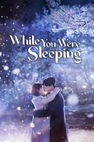 While You Were Sleeping ลิขิตฝันฉันและเธอ ตอนที่ 1-16 พากย์ไทย