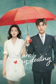 You Are My Destiny (2020) พรหมลิขิตรักไม่รู้จบ EP.1-10 พากย์ไทย