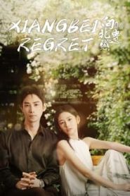 Xiangbei Regret (2024) เกสต์เฮาส์เยียวยารัก EP.1-20 ซับไทย